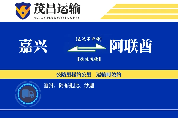 嘉兴到阿联酋物流专线 | 空运海运双清包税 | 门到门国际物流服务
